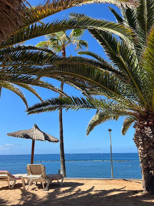 Gartenanlage Hotel Riu Palace Tenerife