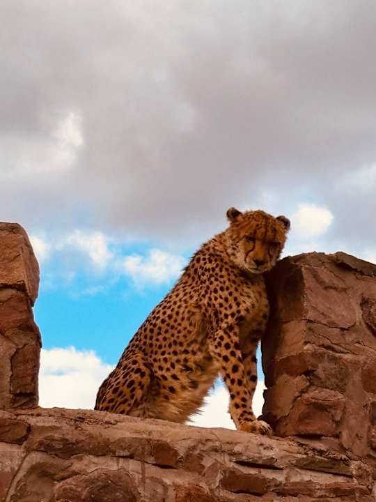 Sport & Freizeit Burgsdorf Guest Farm