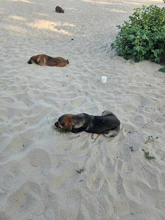 Strand Hotel Borjana