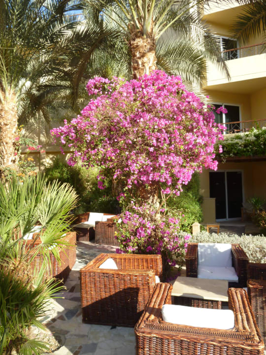 Geruhsamer Ort Amwaj Beach Club Abu Soma Resort