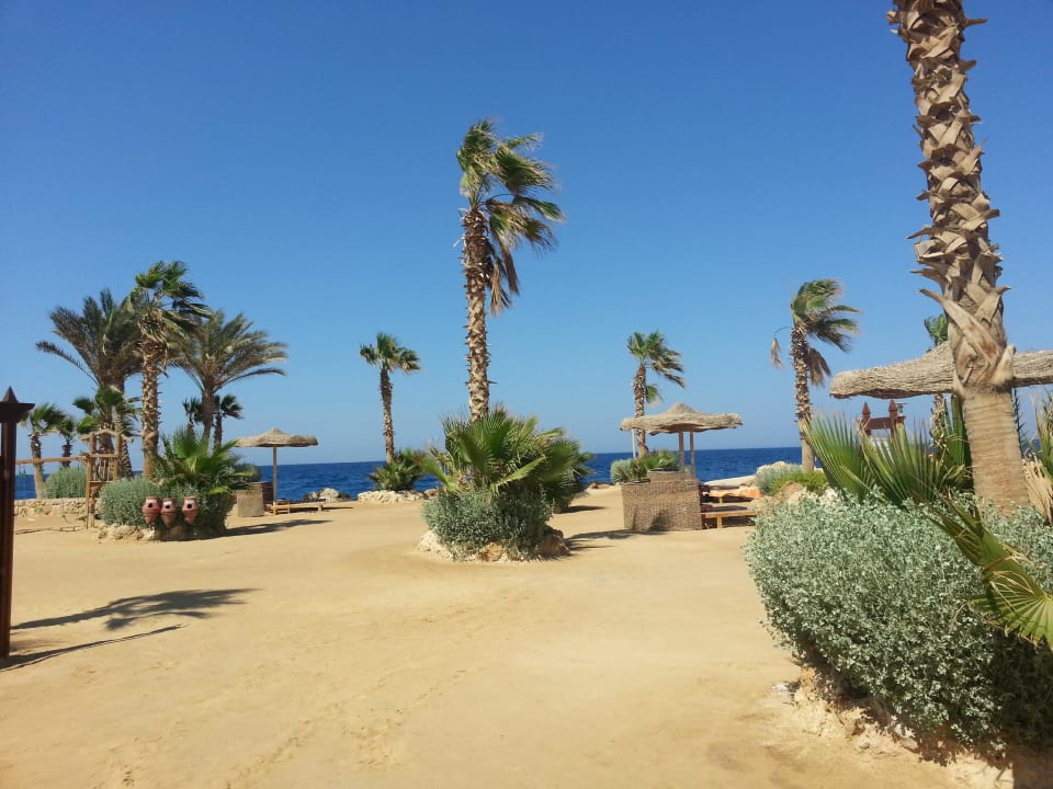 Strand  Pickalbatros Citadel Resort