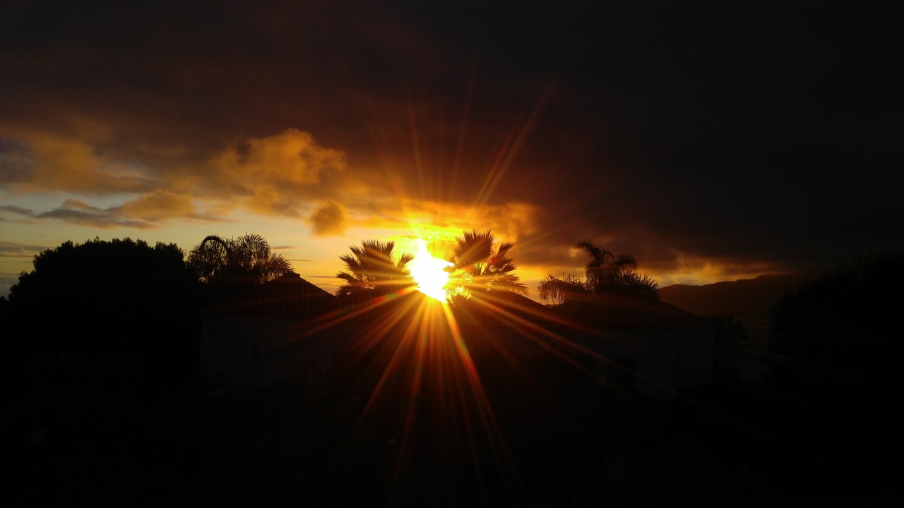 Ausblick La Palma Jardin