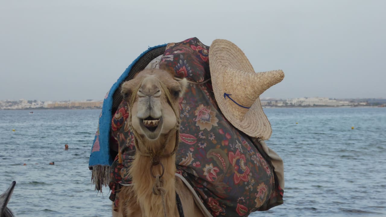 Sonstiges Hotel Neptunia Skanes