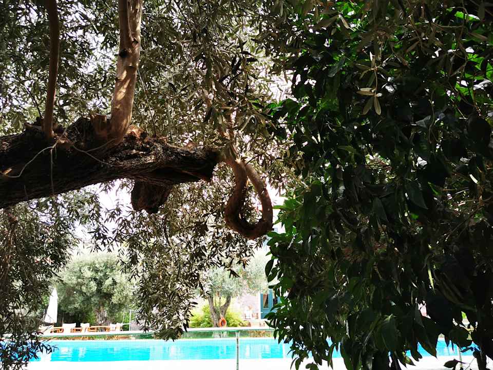 Ausblick Villa Thelpi