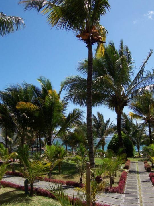 Hotelgarten Veranda Palmar Beach Hotel