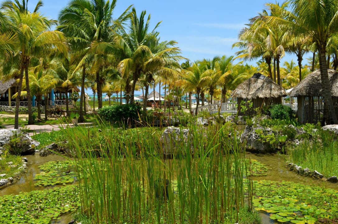 View Hotel Camino del Mar Cayo Guillermo