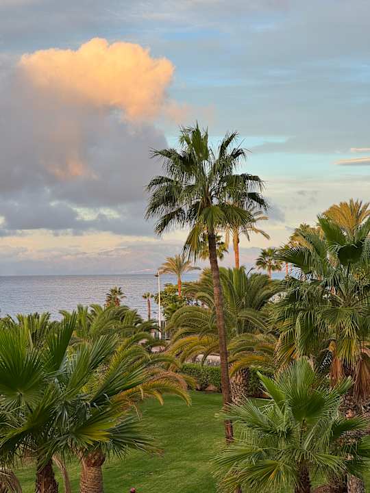 Ausblick Hotel Riu Palace Tenerife