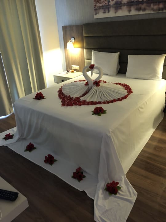 Zimmer Monachus Family Resort Sorgun