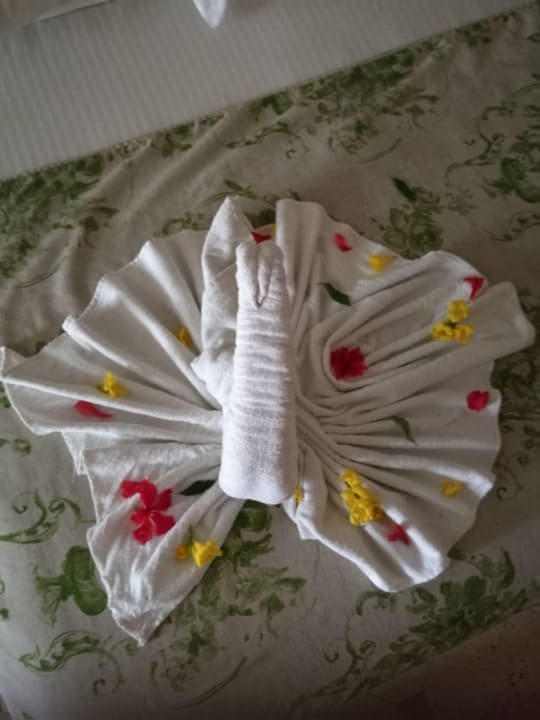 Zimmer Ghazala Gardens