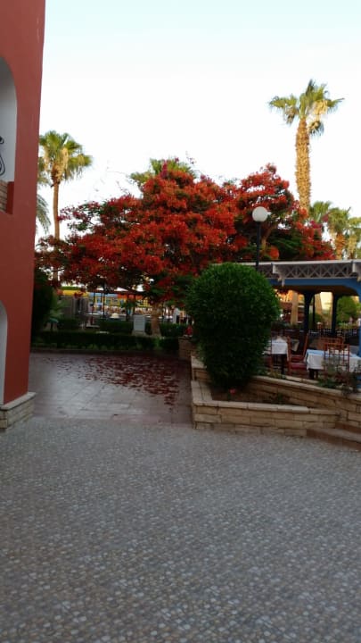 Gartenanlage Bel Air Azur Resort - Adults only