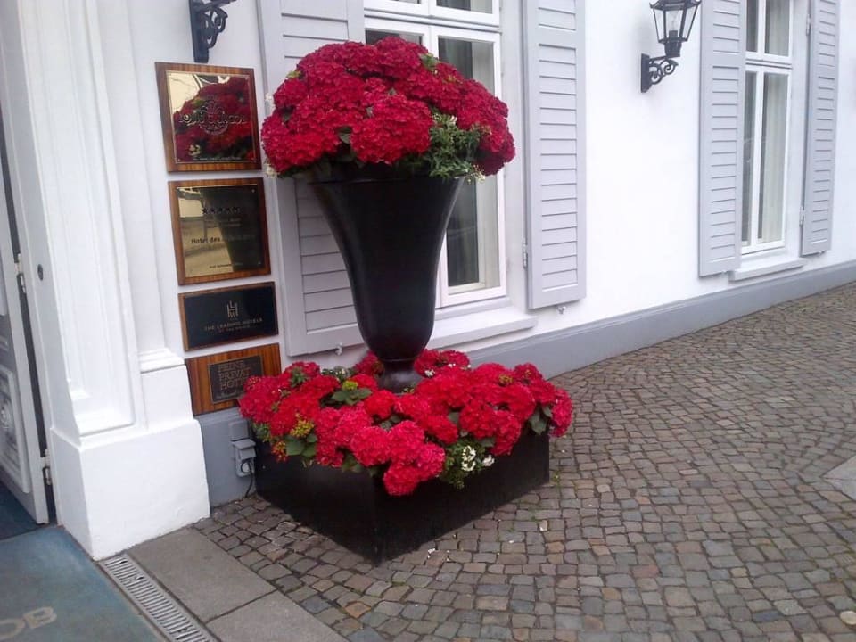 Blumenschmuck Hotel Louis C. Jacob