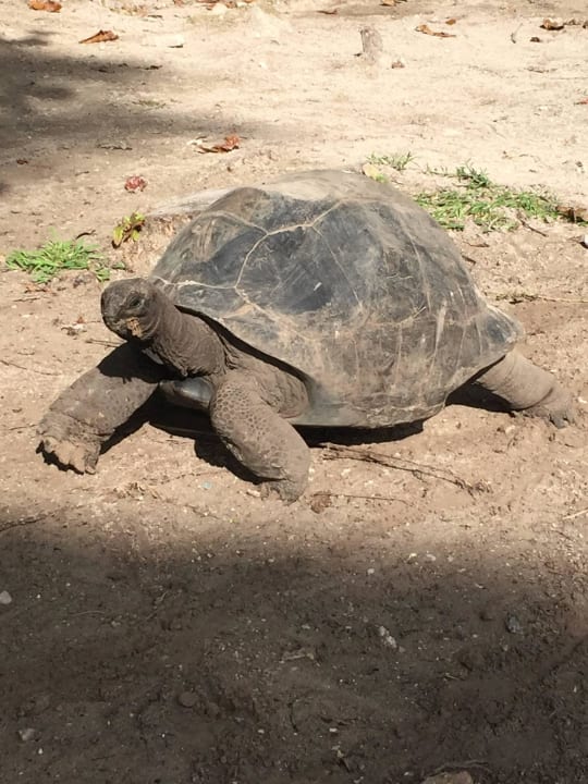 Krötengehege Constance Ephelia