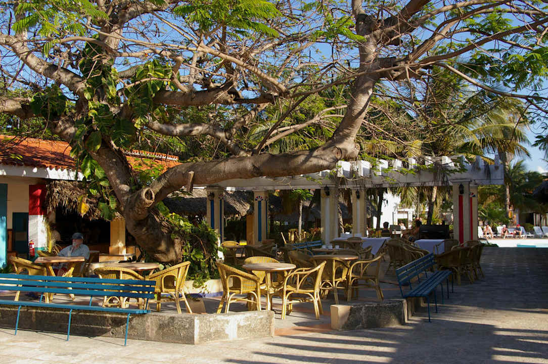 Sitzgelegenheit und Mittagsimbiss Hotel Roc Barlovento