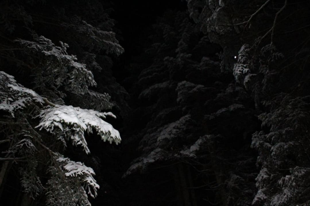 Fackelwanderung Gästehaus Haibach