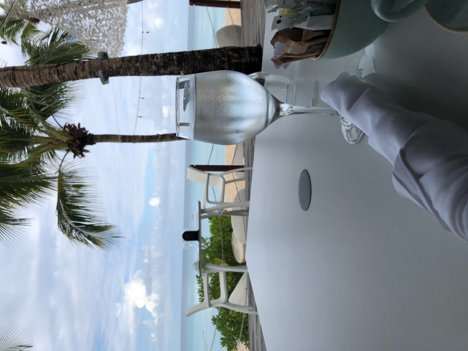 Gastro Catalonia Royal La Romana - Adults only