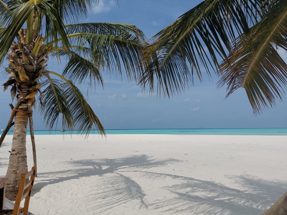 Außenansicht Meeru Maldives Resort Island