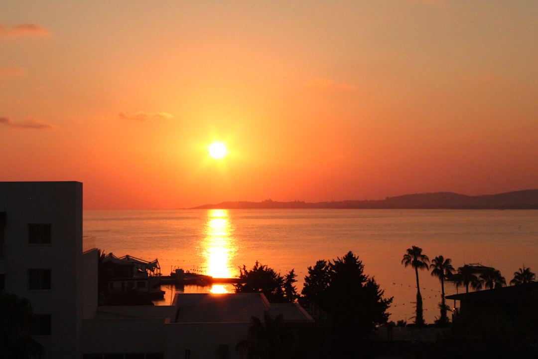 Ausblick Rubi Platinum Sign