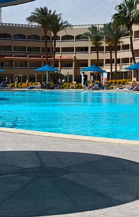 Pool Beach Albatros Resort