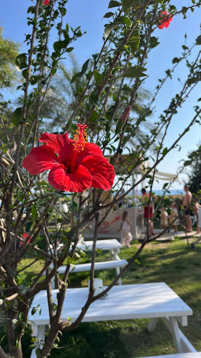 Gartenanlage Seaden Sea Planet Resort & Spa