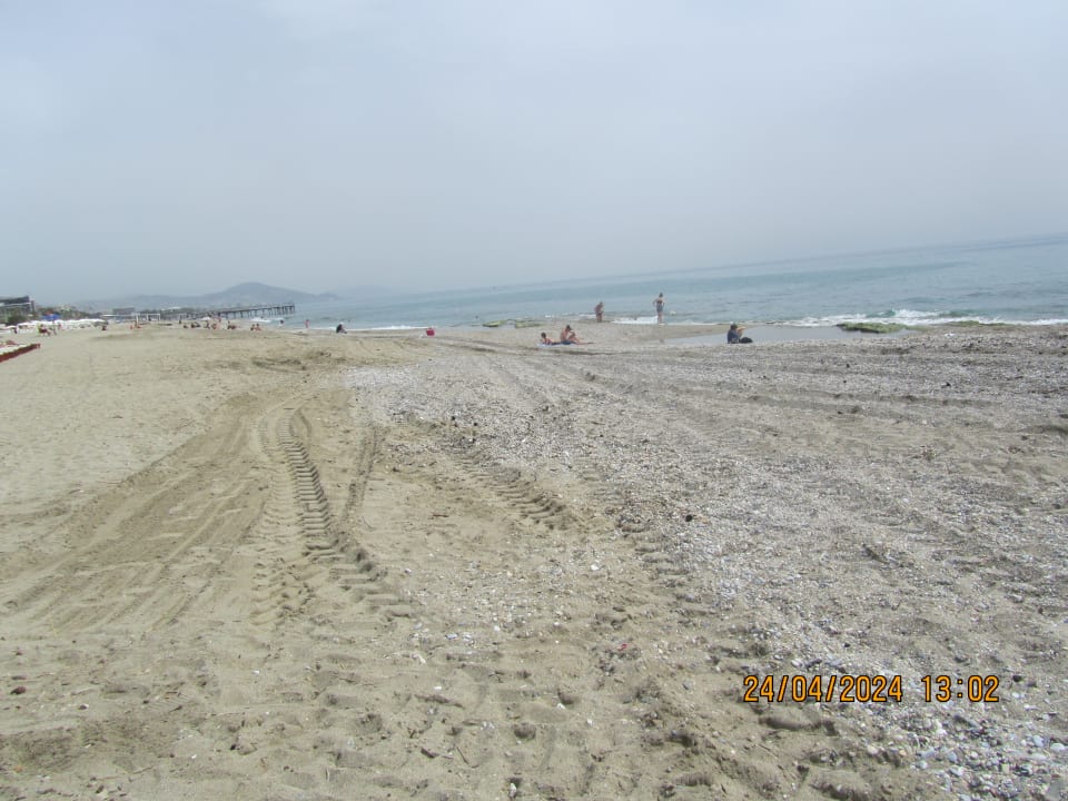 Strand Blue Diamond Alya