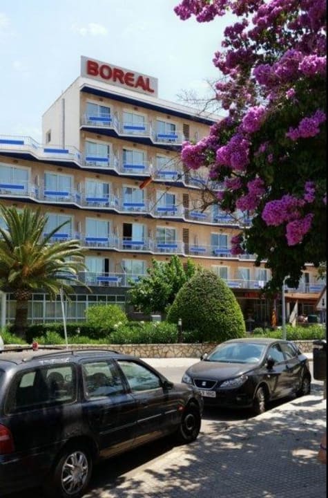 Boreal von der Strasse Hotel Boreal