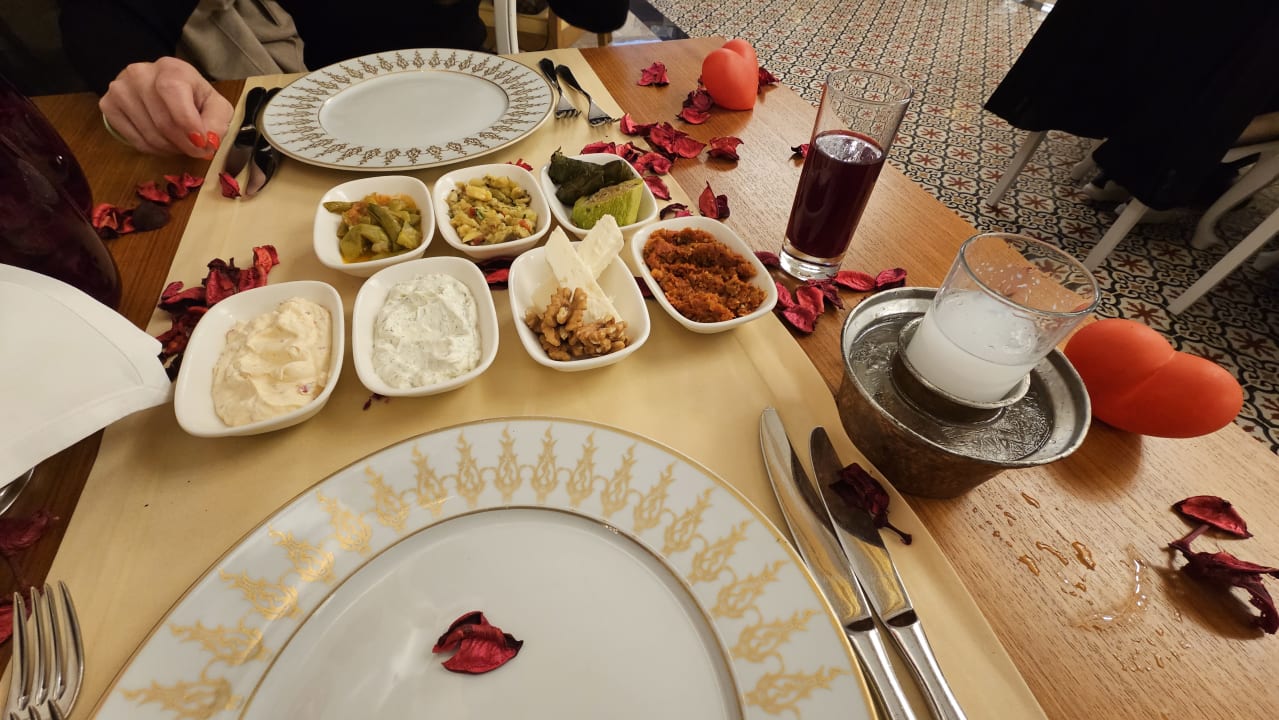 Gastro Adalya Elite Lara