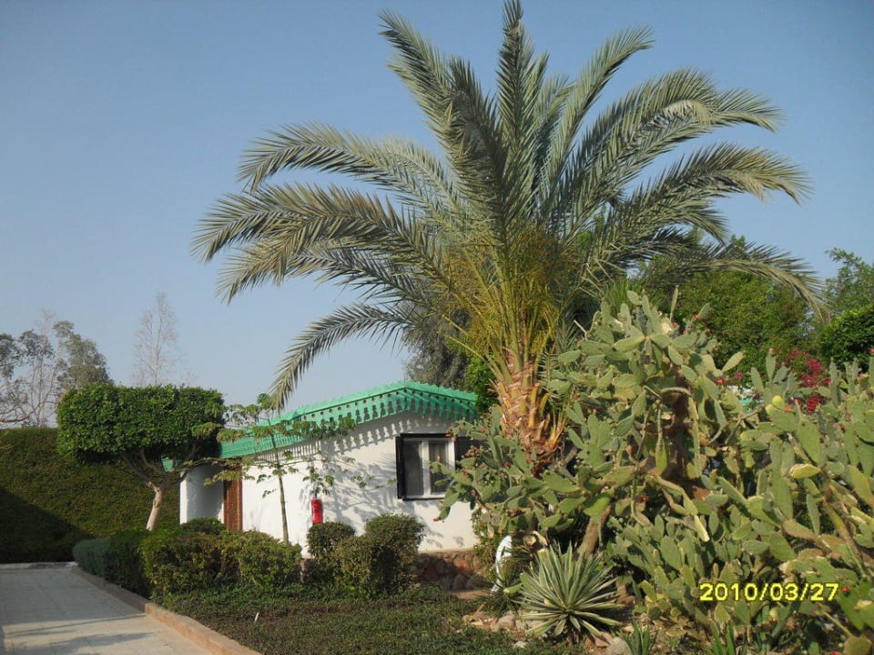 Bungalow Ghazala Beach