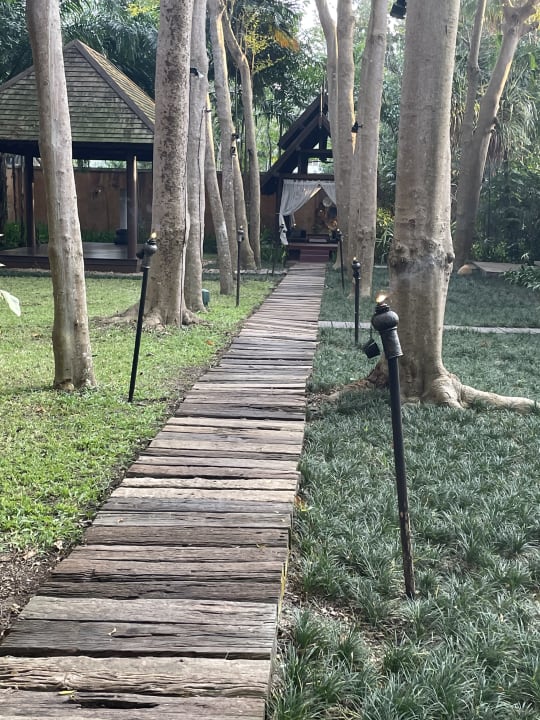 Gartenanlage Anantara Bophut Koh Samui Resort