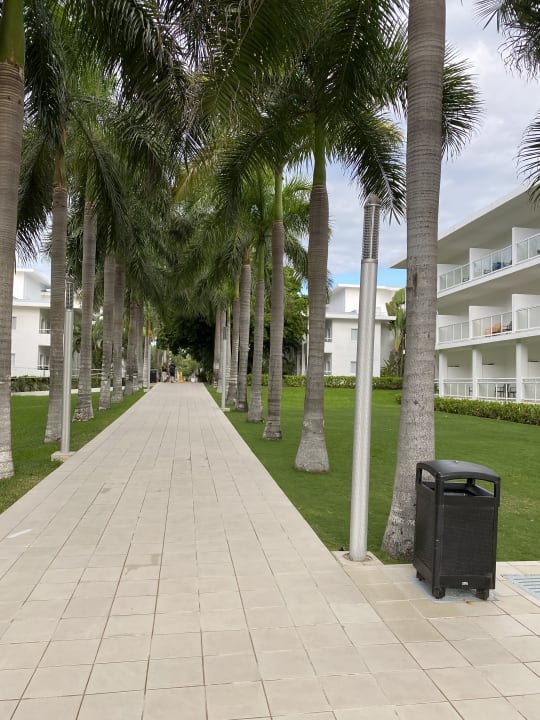 Außenansicht Hotel Riu Playacar