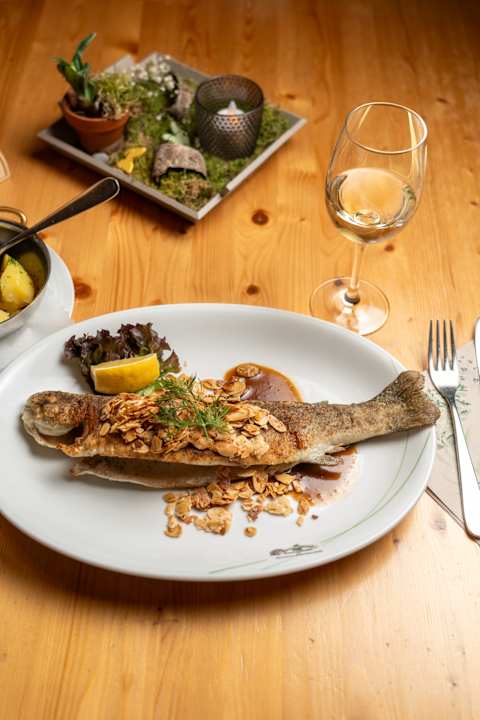 Gastro Hotel Tannenmühle