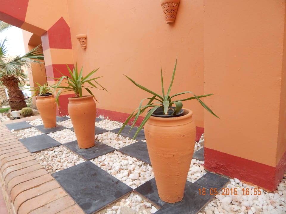 Oasis Makadi Jaz Makadi Oasis Resort