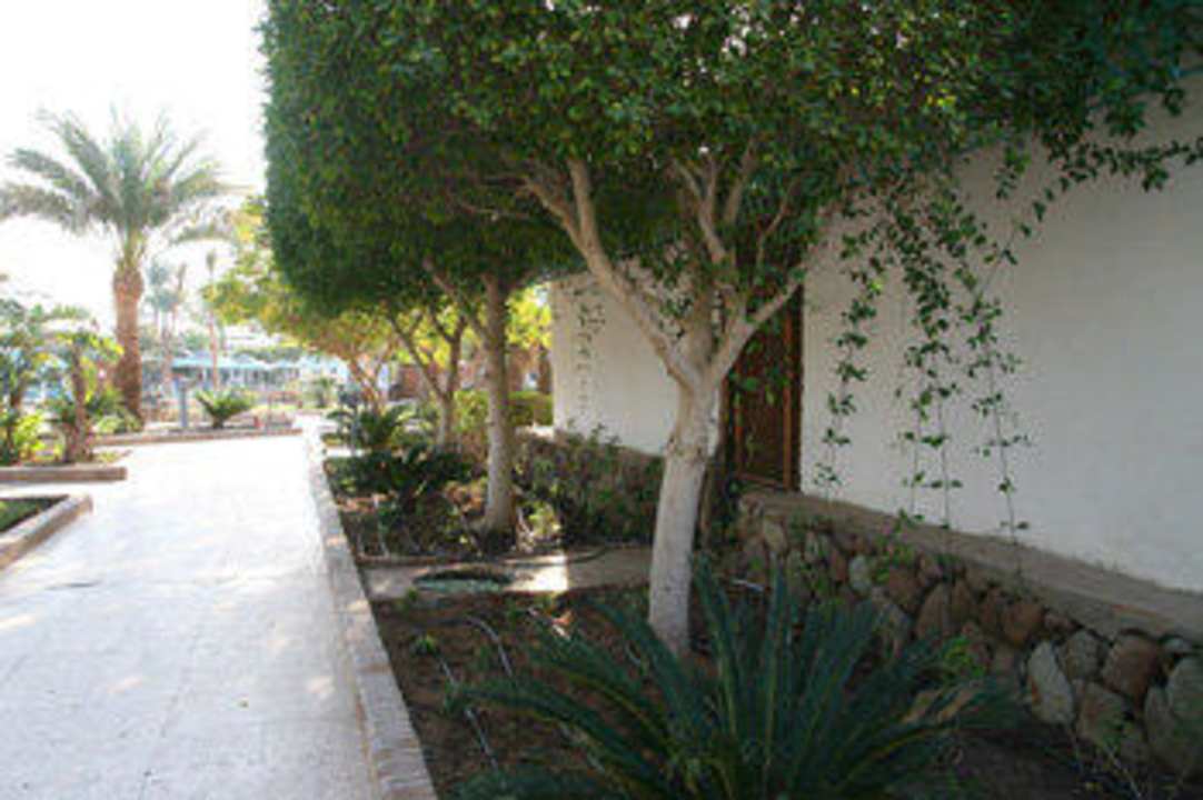 Weg zum Pool Ghazala Beach