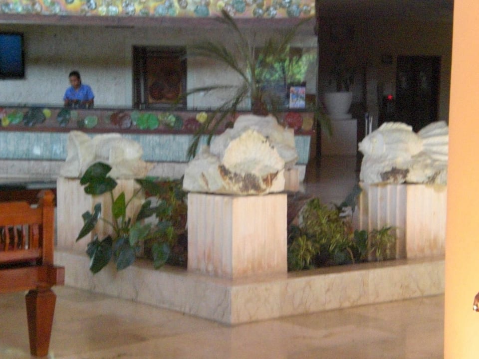 Brunnen Lobby Hotel Viva Dominicus Palace by Wyndham-All Inclusive Resort