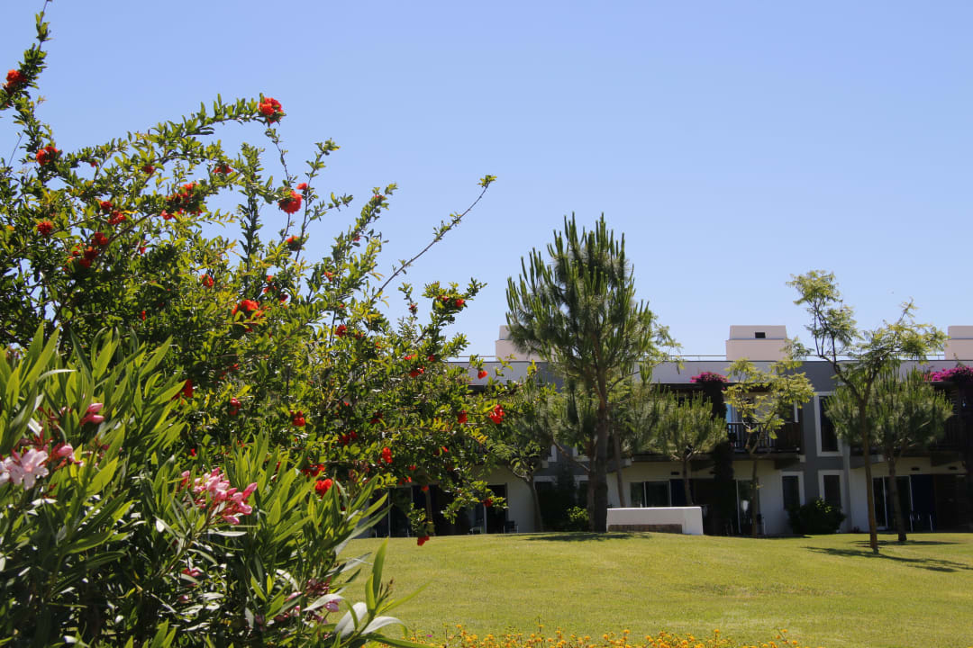 Garten ROBINSON QUINTA DA RIA