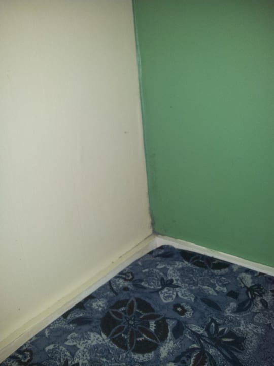 Schimmel in den Schlafnischen der Kinder im Buffal Freizeit- & Ferienpark Slagharen