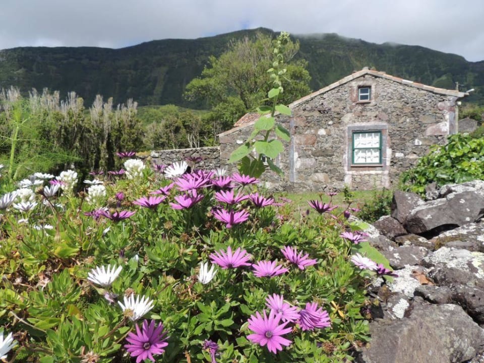 Außenansicht eines der Häuser Hotel Aldeia da Cuada
