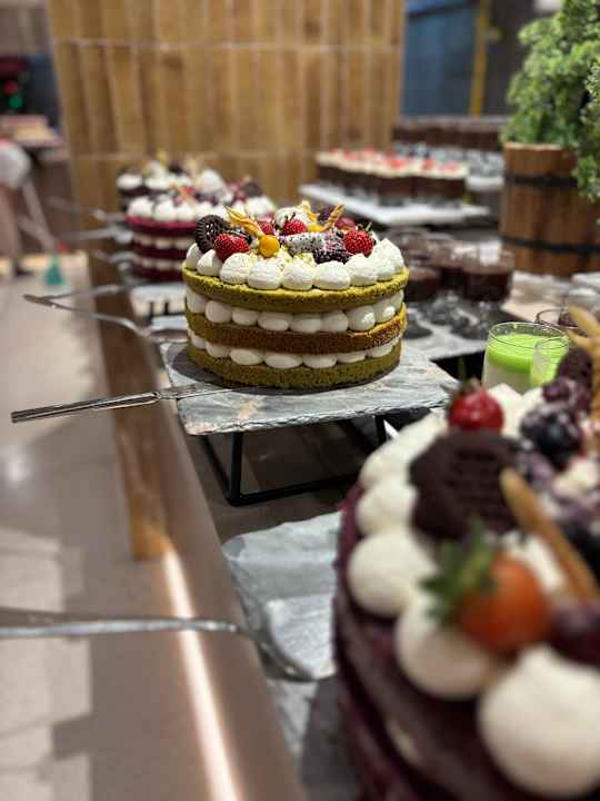 Gastro Arycanda Kirman Premium