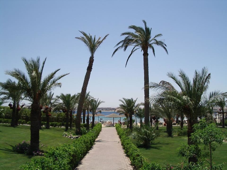Einer der Wege zum Strand Fort Arabesque Resort, Spa & Villas