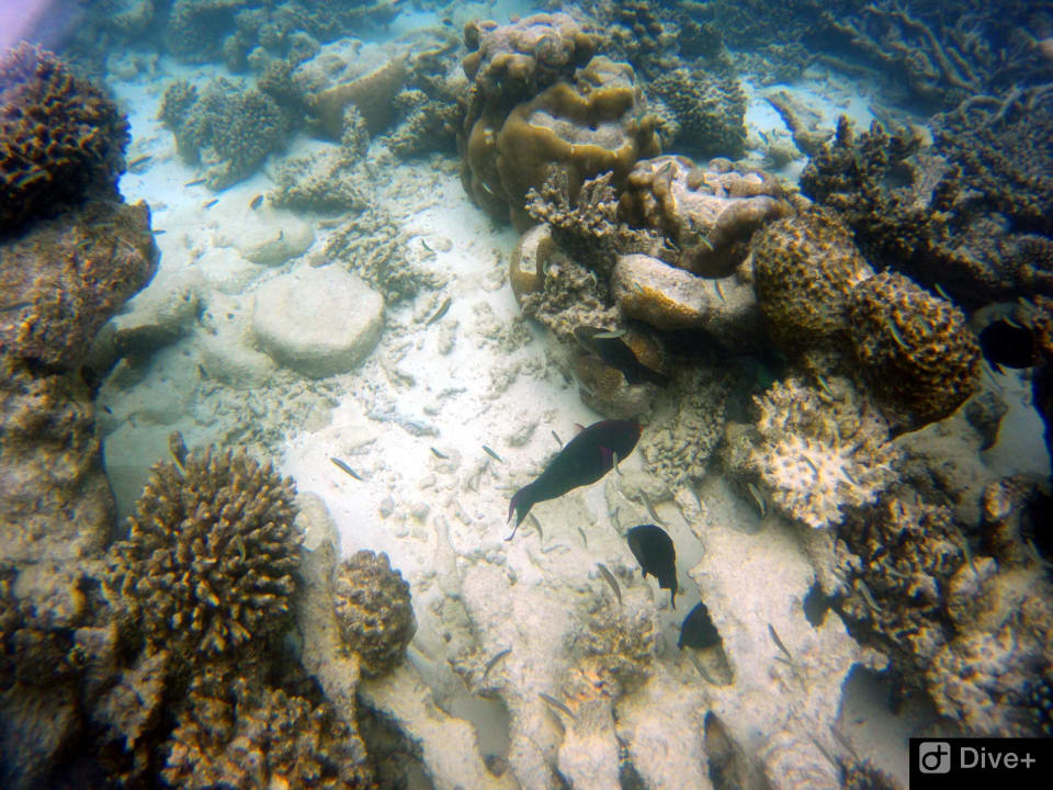 Sport & Freizeit NH Collection Maldives Havodda Resort