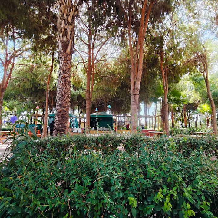 Gartenanlage Club Turtas Beach Hotel