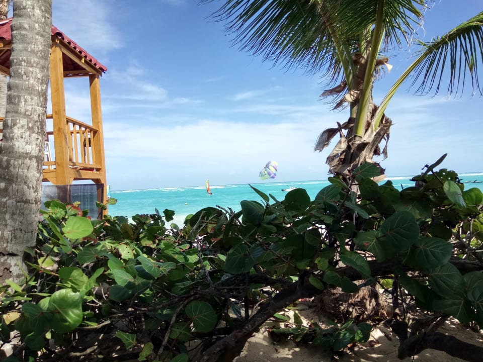 Ausblick Grand Palladium Punta Cana Resort & Spa