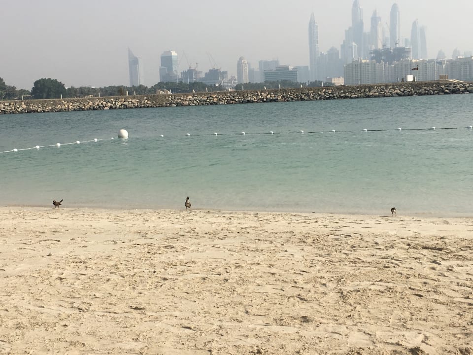 Strand Rixos The Palm Hotel & Suites