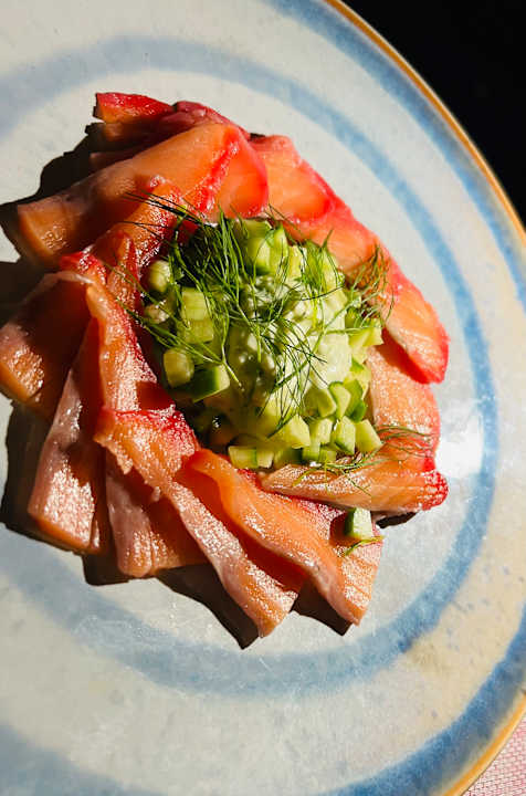 Gastro JAZ Elite Asteria