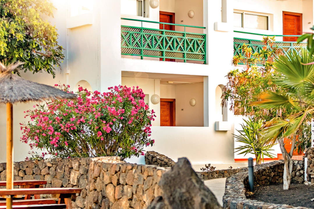 Außenansicht smartline Ficus