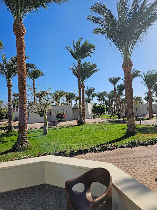 Zimmer Pharaoh Azur Resort