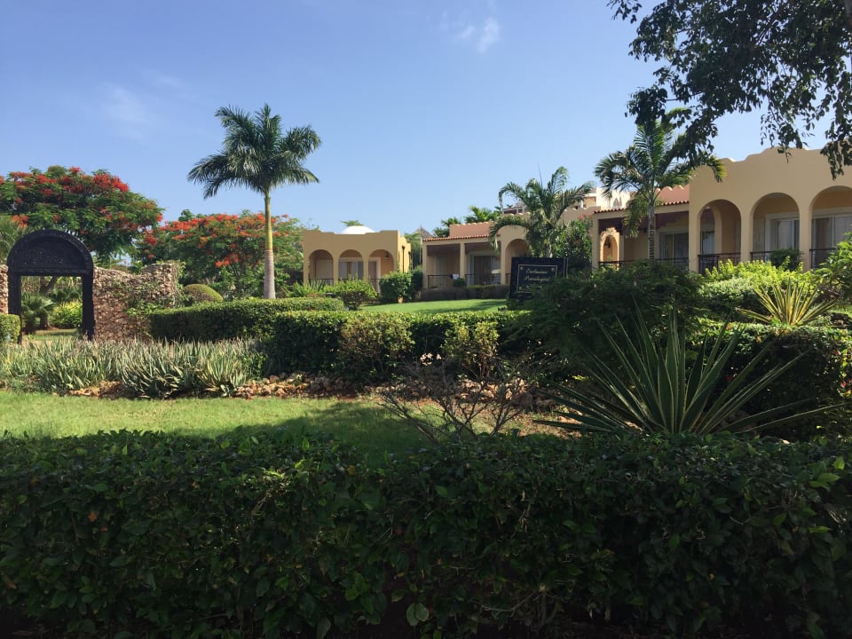 Blick Gartenanlage Hotel Riu Palace Zanzibar