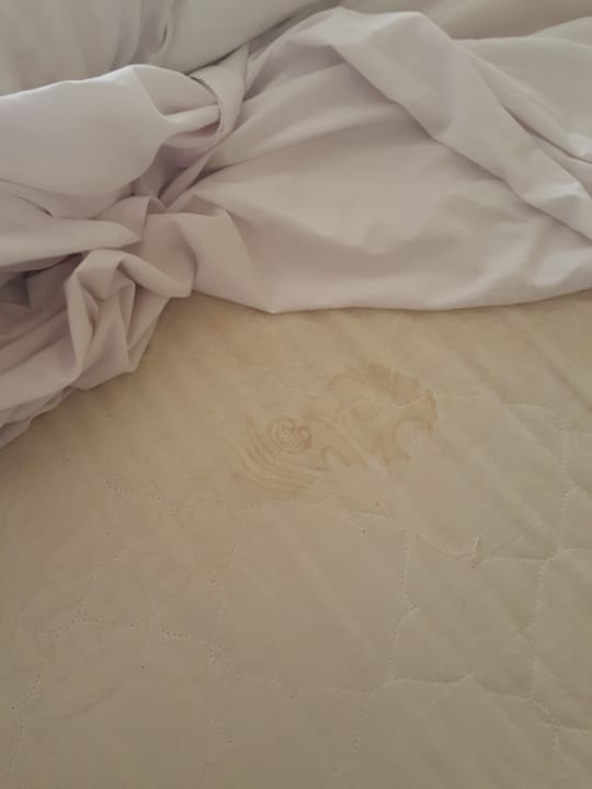 Zimmer Sunny Days Palma De Mirette Resort & Spa