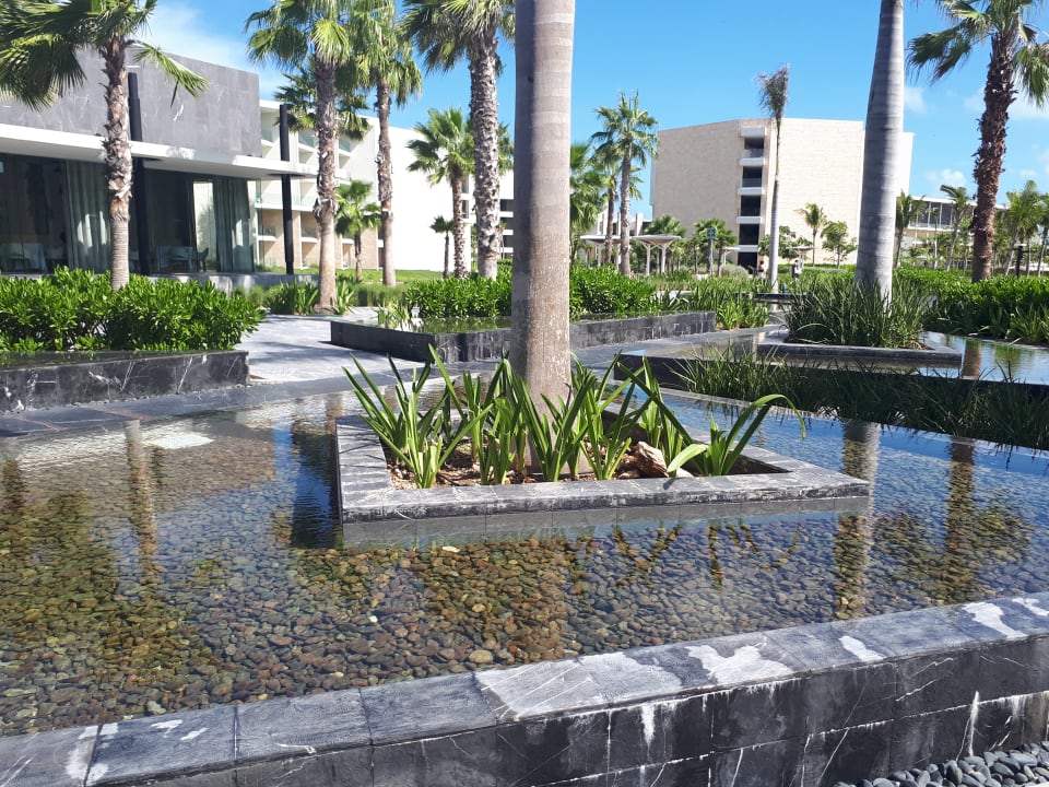 Garten TRS Coral Hotel - Adults Only