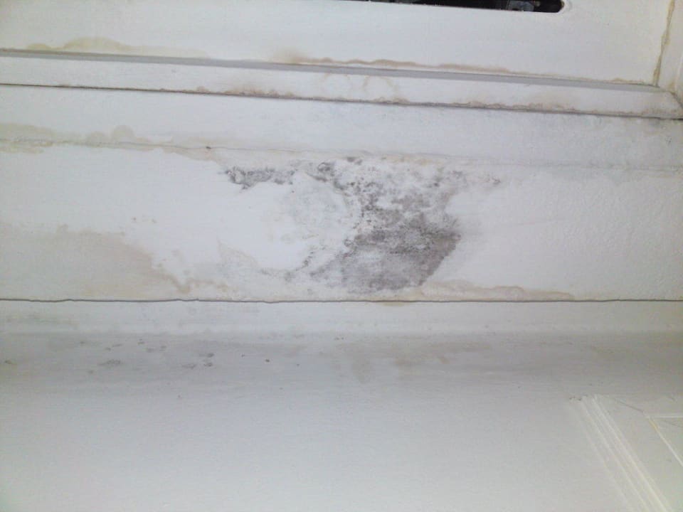 Wasser/Schimmelflecken El Mouradi Club Kantaoui