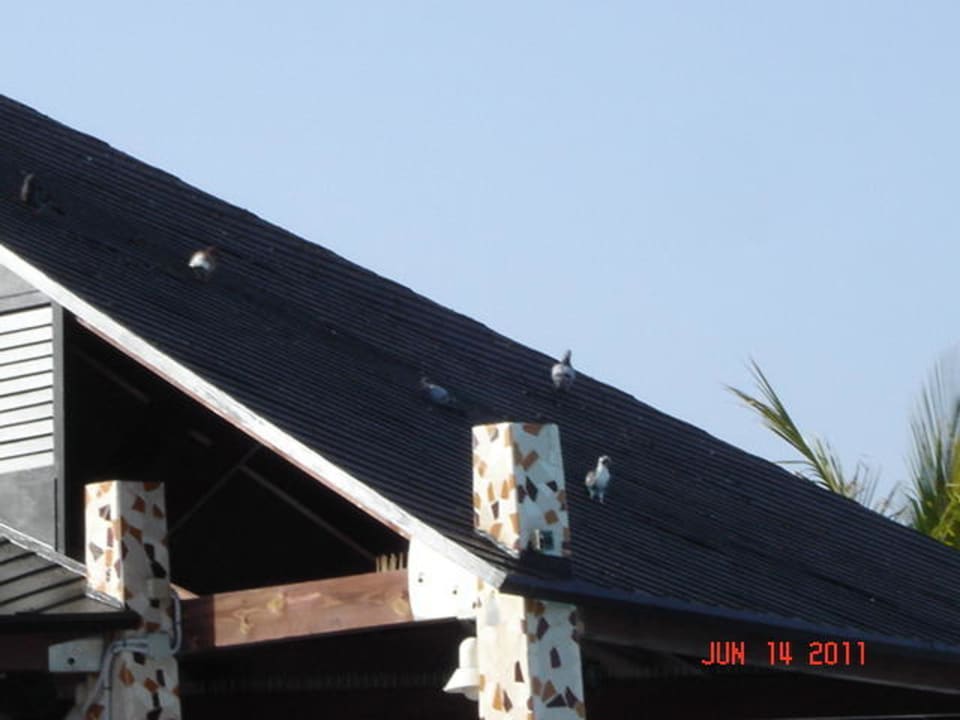 Tauben H10 Playa Meloneras Horizons Collection